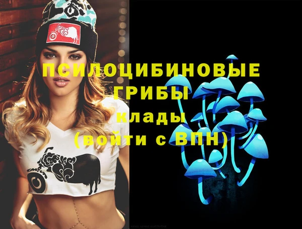 jwh Гусь-Хрустальный