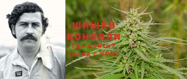 молекула духа Горняк