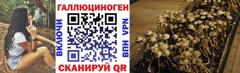 Псилоцибиновые грибы Psilocybine cubensis Купить где Удомля